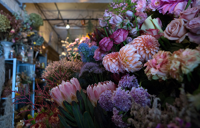 MIYAKO TAKAYAMA IMAGE